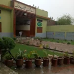 Activities unnamed (2)